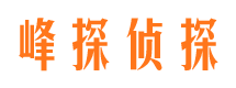 赫山外遇取证